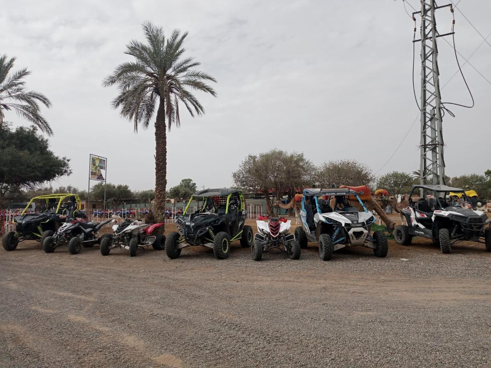 Quad Marrakech Hotell Marrakesh Eksteriør bilde